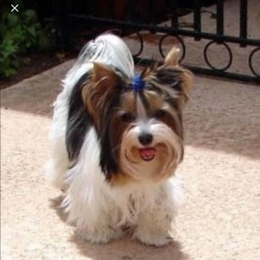 Meet your Posher, Cyndi